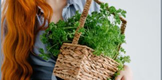 Улюблена зелень в одній банці