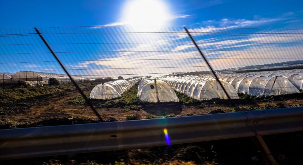 Готуємося до зими правильно: як легко побудувати на своїй ділянці якісну та стійку теплицю 
