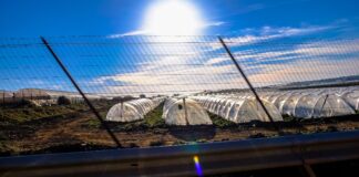 Як побудувати теплицю на своїй ділянці