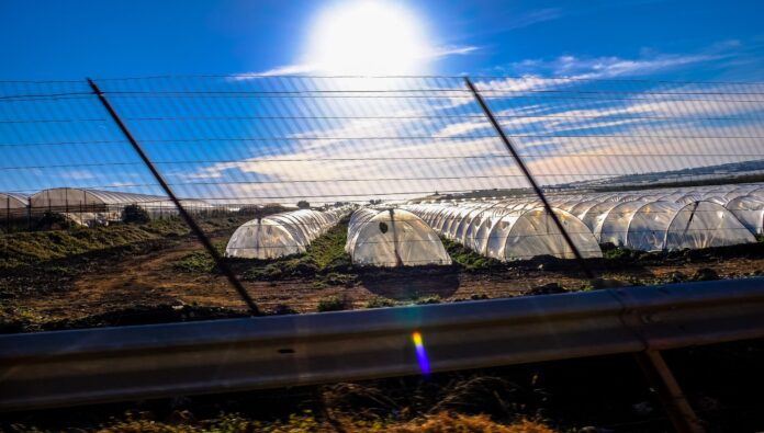 Як побудувати теплицю на своїй ділянці Як побудувати теплицю на своїй ділянці