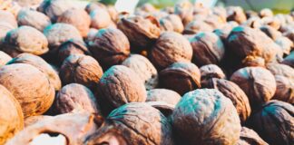 Як і де саме краще зберігати волоський горіх 