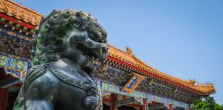 Новий 2024 рік: дата, тварина-покровитель та щасливий колір