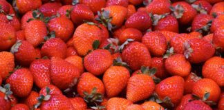 Експерти назвали найкращих та найгірших сусідів полуниці