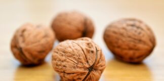 Чому на горіхах зʼявляється пліснява і як це виправити