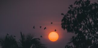 День весняного рівнодення 2025: що потрібно знати