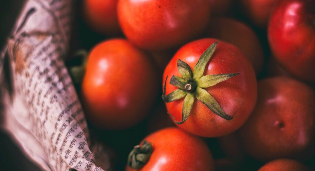 Ці помідори сіяла і буду сіяти далі: сорт підходить для лінивих дачників – легкі в догляді та солодкі як мед 