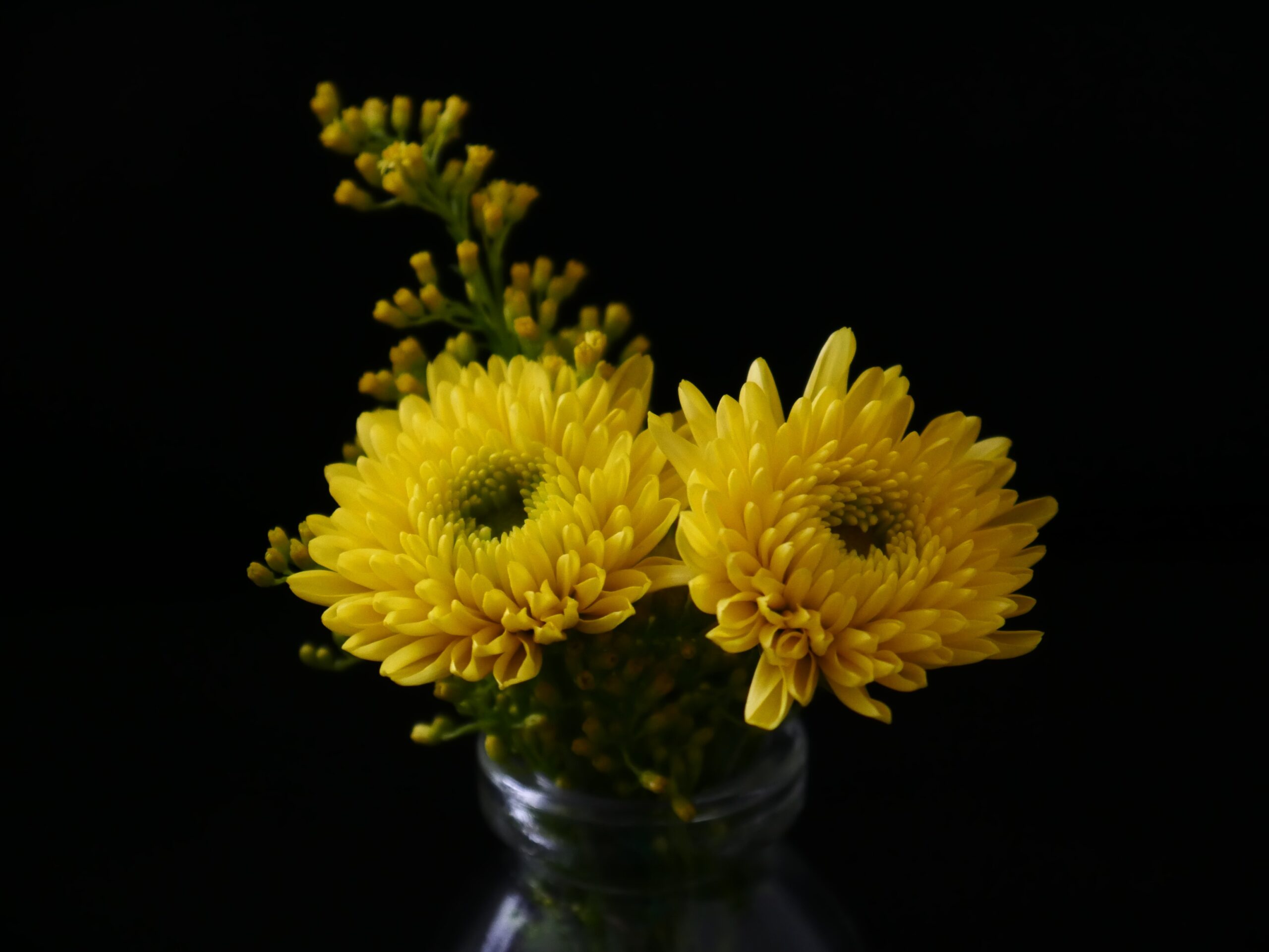 Квіти, які точно принесуть щастя до вашого дому