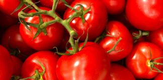  Вибираємо томати та зберігаємо їх вдома за правилами