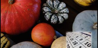 Місячний посівний календар-2024: що можна робити на дачі, а що ні