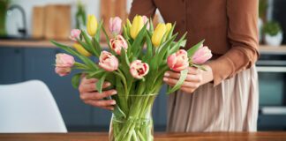 Експерти та садівники розповіли, як подовжити життя тюльпанів та що для цього треба