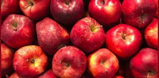 Як правильно зберігати яблука в погребі, щоб вони довго лежали