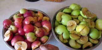 Як приготувати вдома поживний яблучний оцет 