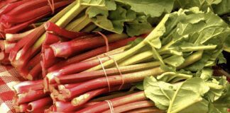 Який засіб допоможе пришвидшити ріст корінців на черешках