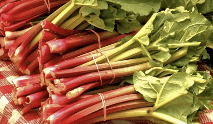 Який засіб допоможе пришвидшити ріст корінців на черешках