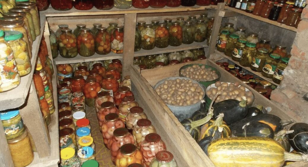 Корисні поради, як підготувати льох до зберігання продуктів взимку: прибираємо вогкість 