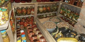 Як підготувати льох для зберігання продуктів взимку 