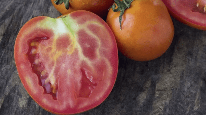 Чи можна їсти помідори з білими прожилками