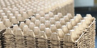 Для чого заливати водою картонні лотки