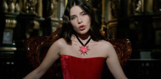 Христина Соловій обурена крадіжкою власної пісні