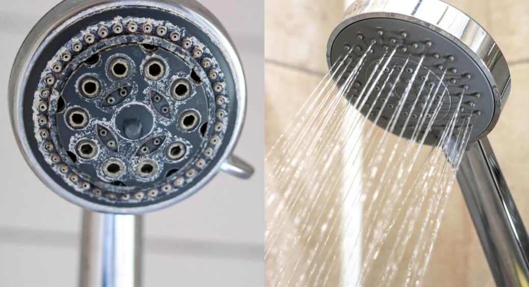 Як видалити накип з душової лійки: просто додала оцет та не повірила своїм очам — сантехніка як нова 