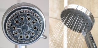 Господар розповів, як відчистити душ за допомогою оцту