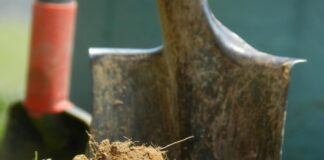 Городник розповів, як з сіна та бур'янів зробити мульчу