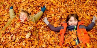 Опублікували графі канікул 2023/2024: коли в учнів почнеться відпочинок