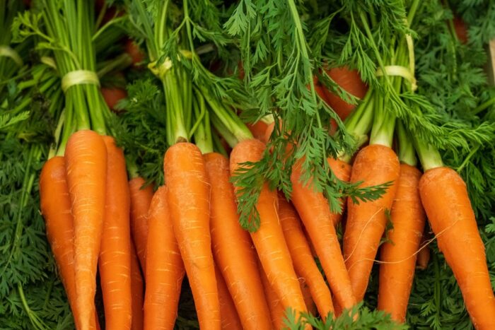 Найсолодші та соковиті сорти моркви