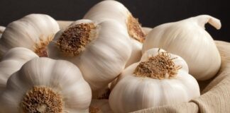 Коли та як треба садити озимий часник на городі