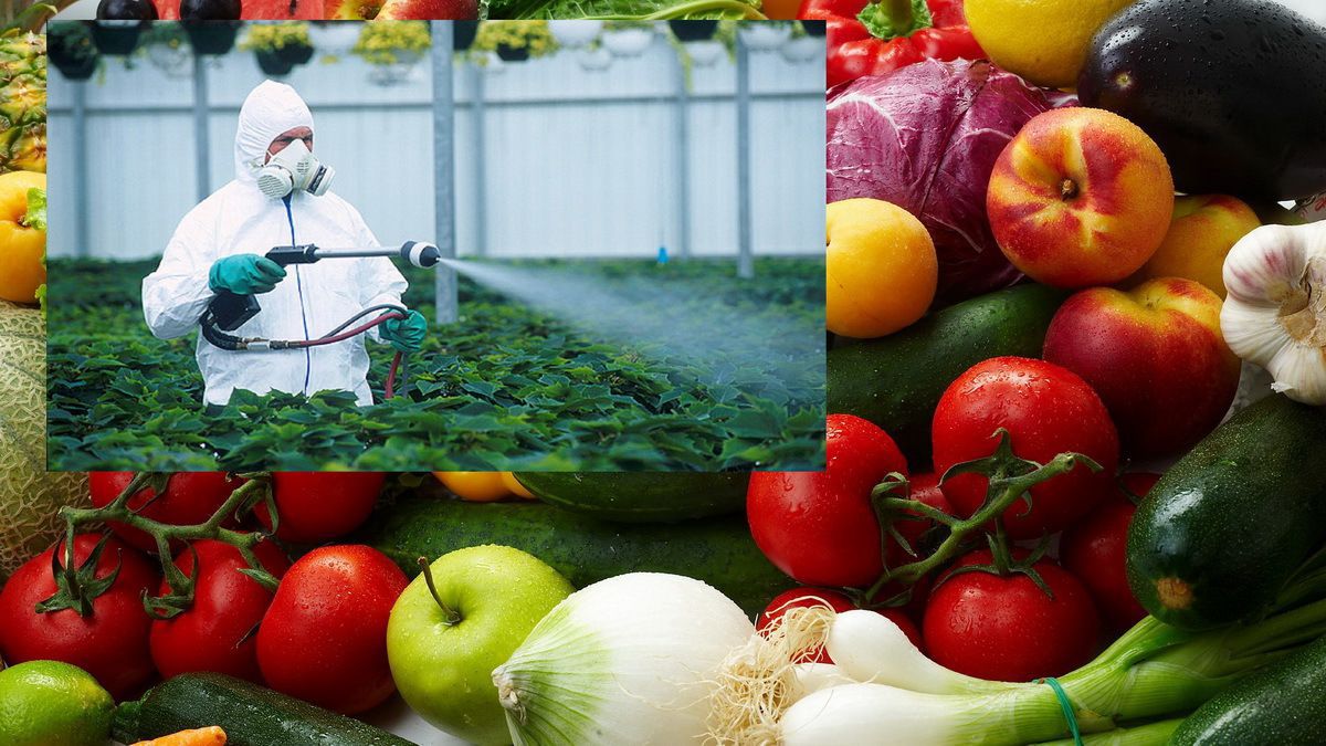 Обработка фруктов от вредителей. Пестициды. Овощи и химикаты. Овощи и фрукты,обработанные пестицидами. Пестициды в овощах и фруктах.