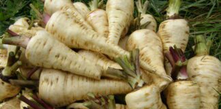 Дієтолог пояснив, чому варену картоплю слід замінити пастернаком