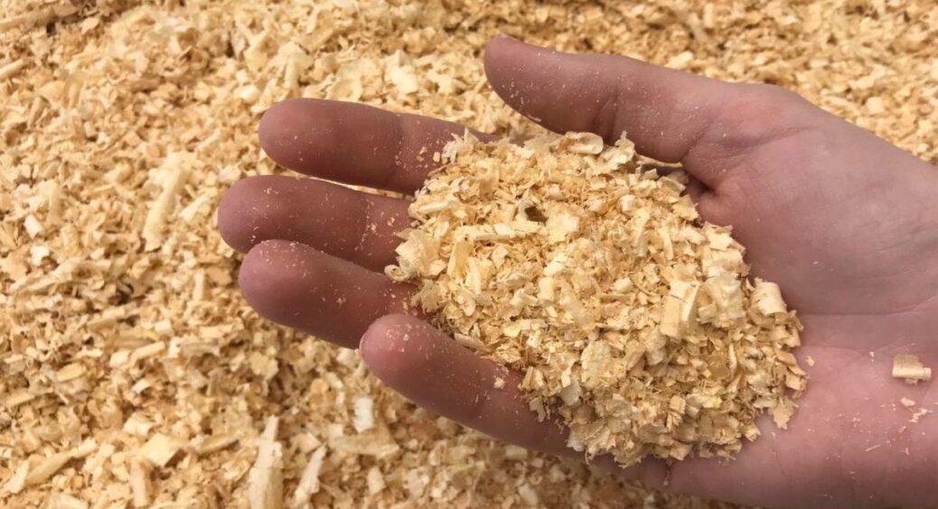 Ось з чим змішую тирсу, щоб отримати супердобриво. Корисна порада від свекрухи: дякую їй за цю хитрість 