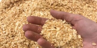 Експерти розповіли, як в теплиці вносити деревну тирсу