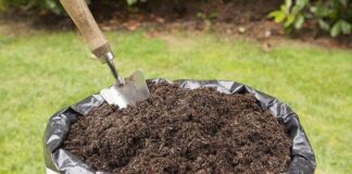 З яких продуктів найкраще готувати компост: поради дачників