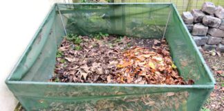 Як приготувати безкоштовне добриво для рослин