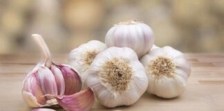 Як часник допоможе у боротьбі з шкідниками на городі