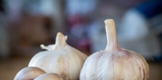 Після яких культур не можна садити часник