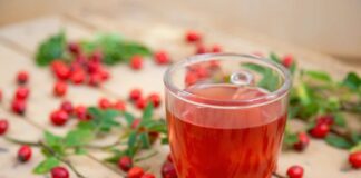 Городник розповів, як правильно зібрати і засушити шипшину