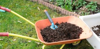 Як легко і просто підвищити родючість ґрунту на своєму городі за допомогою надійного добрива