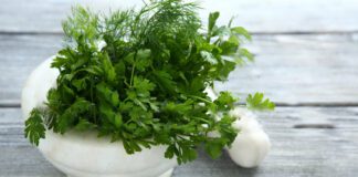Городник розповів, що треба робити з петрушкою, аби вона родила до зими