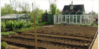 Фермер розповів, яке добриво потрібно заготовляти у грудні