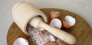 Городник розповів, як правильно підживлювати ділянку шкаралупою