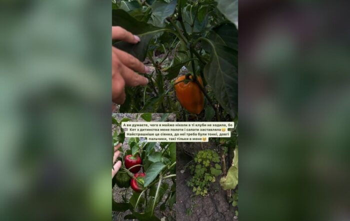 Леся Нікітюк показала солодкий перець, який виріс на городі її батьків