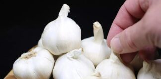 Три головні правила, як вирощувати озимий часник