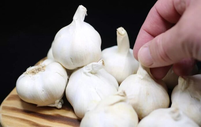 Три головні правила, як вирощувати озимий часник