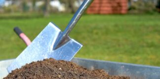 Експерти розповіли, як підготувати ґрунт до зимування