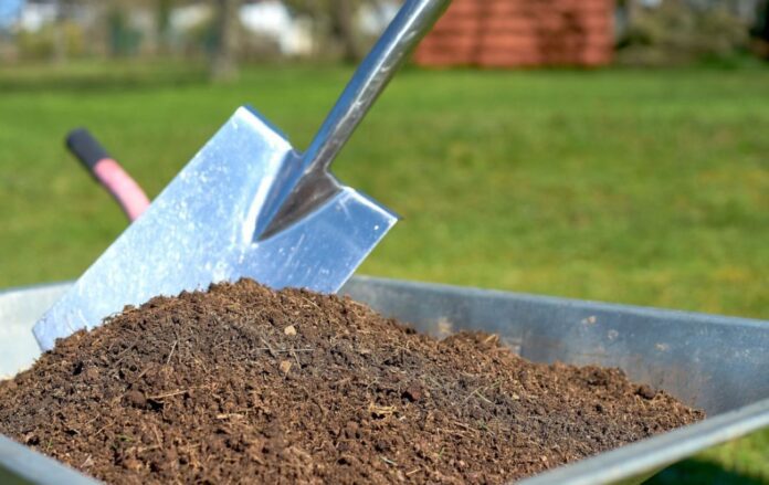 Експерти розповіли, як підготувати ґрунт до зимування