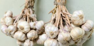 Як правильно зберігати часник взимку