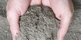 Як правильно удобрювати деревною золою