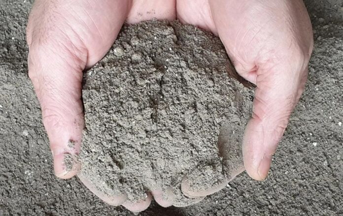 Як правильно удобрювати деревною золою